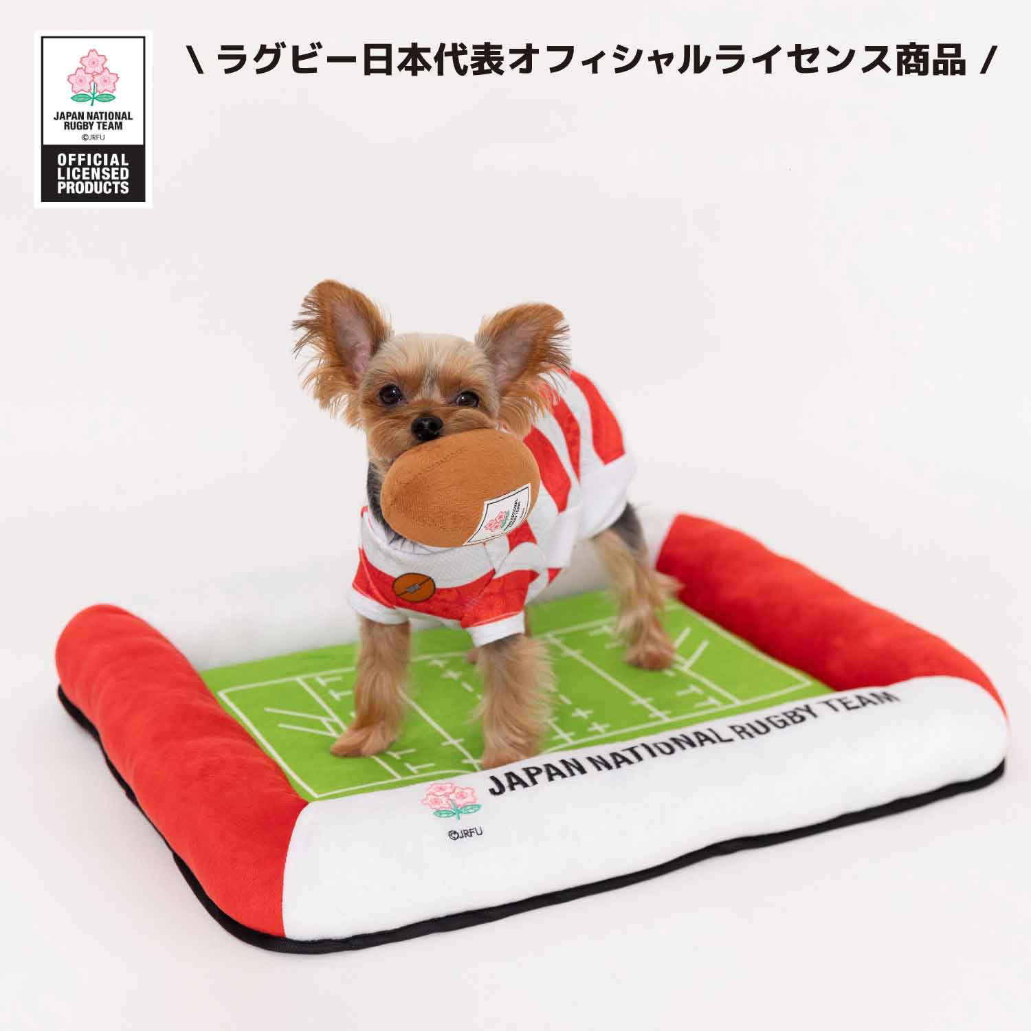 ラグビー日本代表オフィシャルライセンス商品 ペット用品発売！ – PET LIFESTYLE MOFF