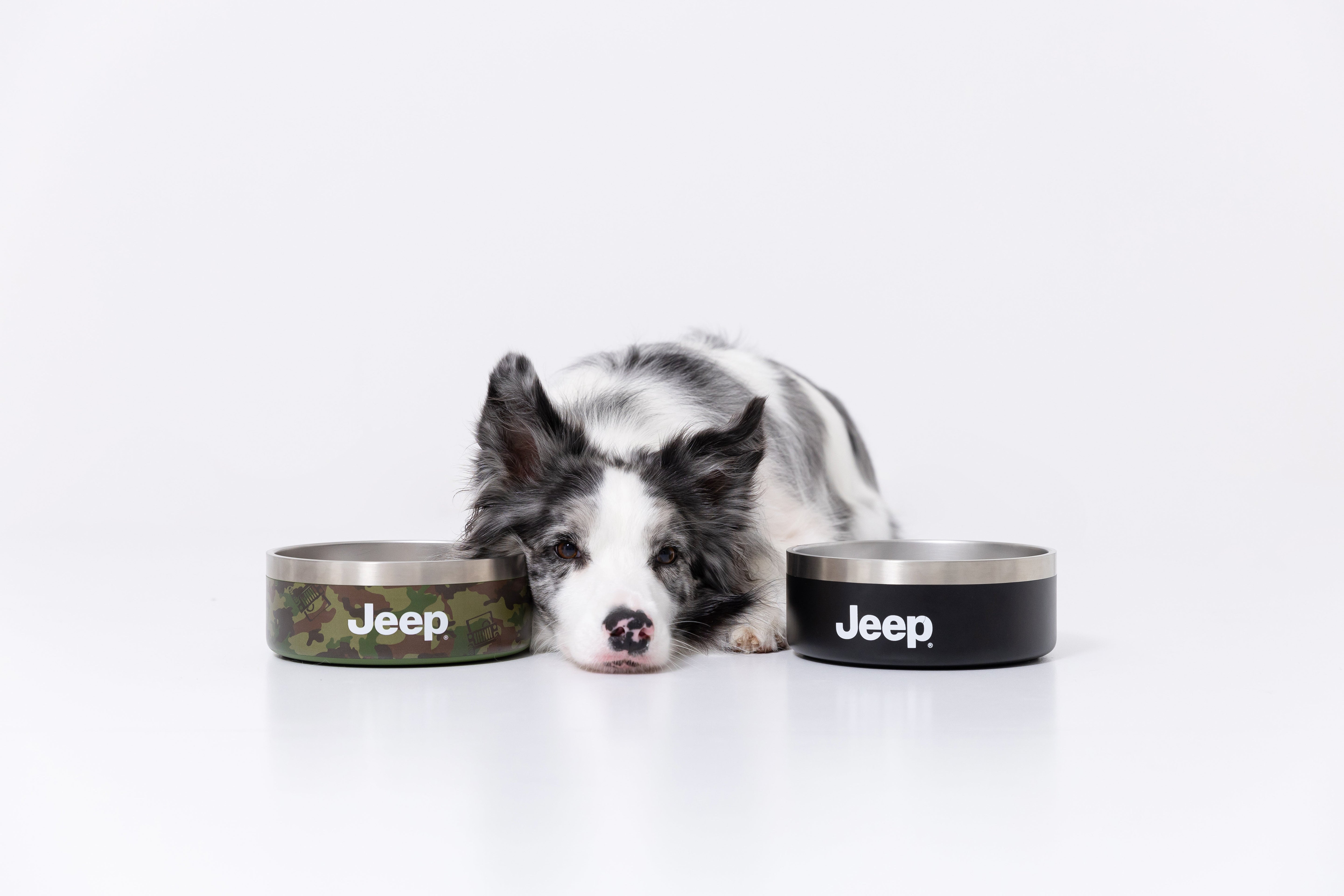 Jeep®公式ライセンス ステンレスフードボウル