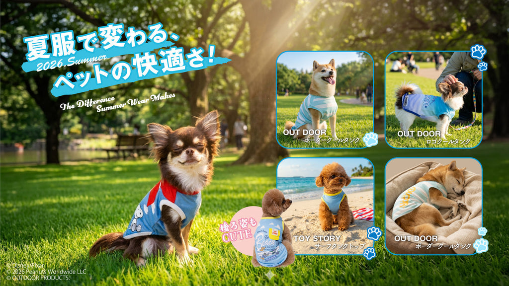 意外と知らないペット服の重要性!