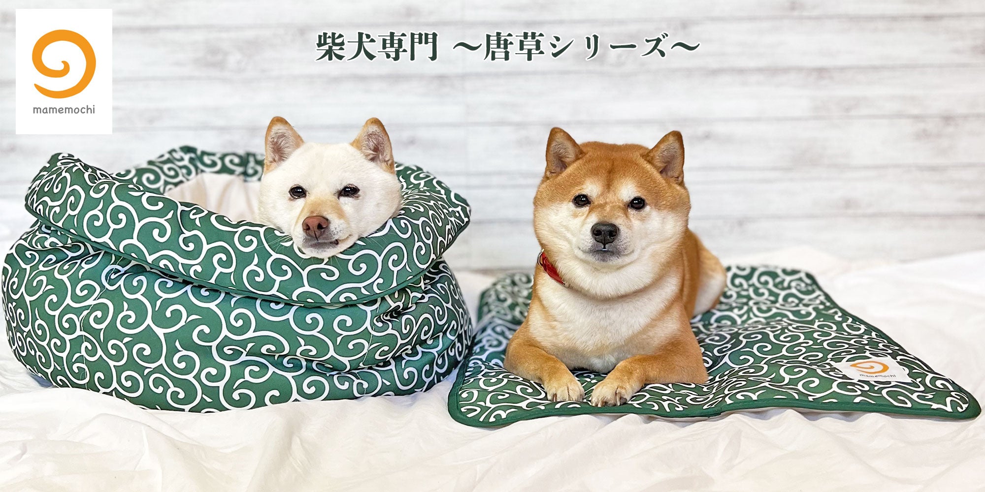 柴犬専門ブランド mamemochi から〜唐草まみれシリーズ〜 沼る唐草