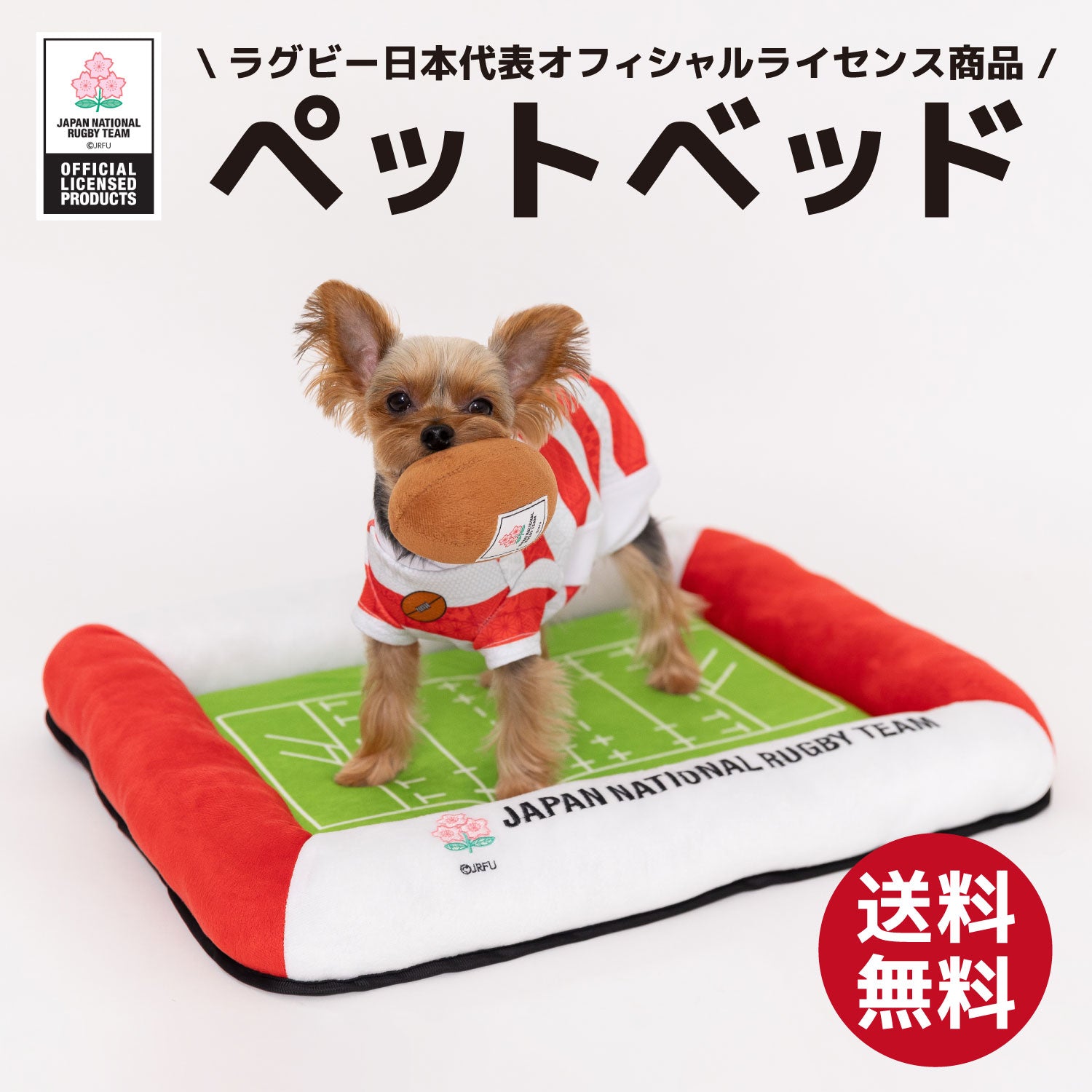 新品未使用ペットベッド 犬用 猫用1