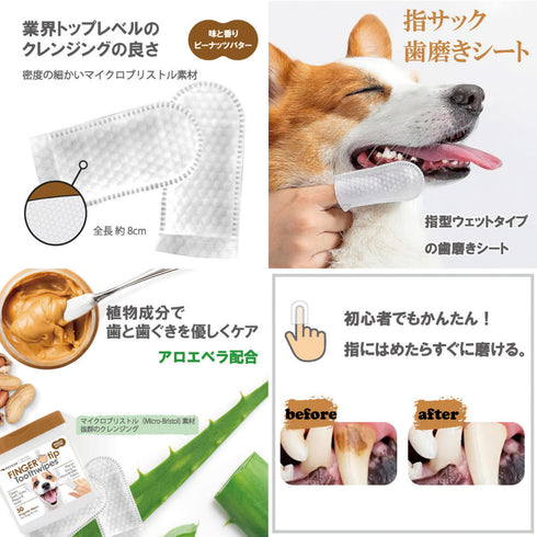 フィンガーティップワイプ歯用 ピーナッツバター味50枚入り ペット用品