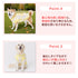 プーさんチェックシェニールニット中・大型犬 ペット用品