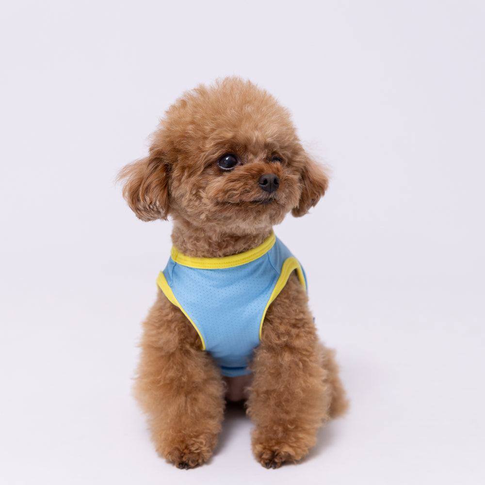 TOY STORY トイ・ストーリー サーフタンク ペット用品