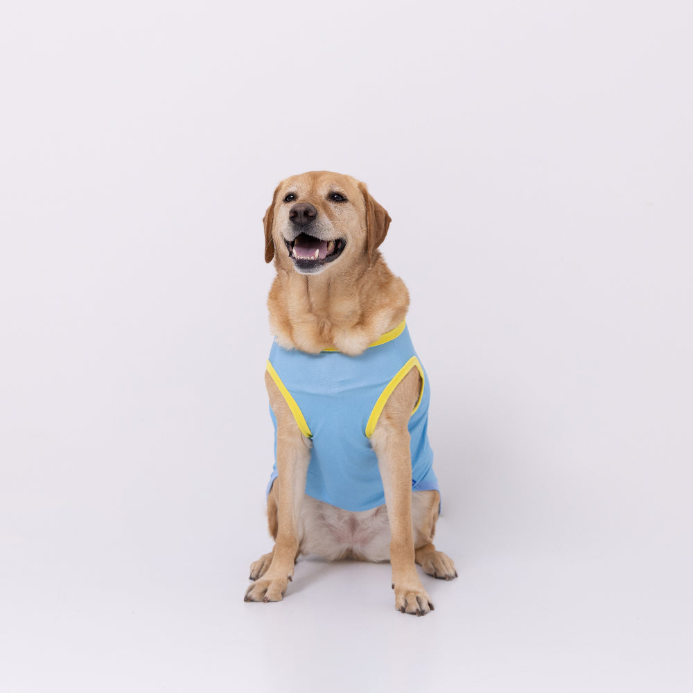 TOY STORYサーフタンク 中大型犬 ペット用品