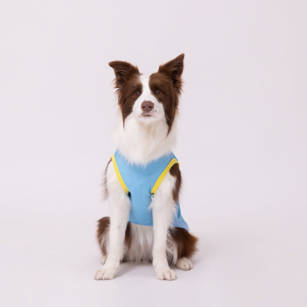 TOY STORYサーフタンク 中大型犬 ペット用品