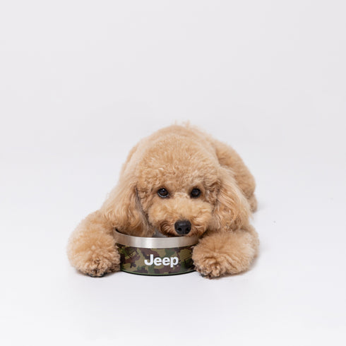 JeepⓇステンレスフードボウル Sサイズ 16oz ペット用品 ペット食器