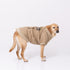 Jeep 背開きジャケット 中・大型犬 ペット用品