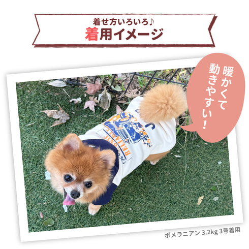 JEEPダブルフェイストレーナーD ペット用品