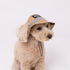 Jeep ジープ サファリハットS ペット用品 26SS