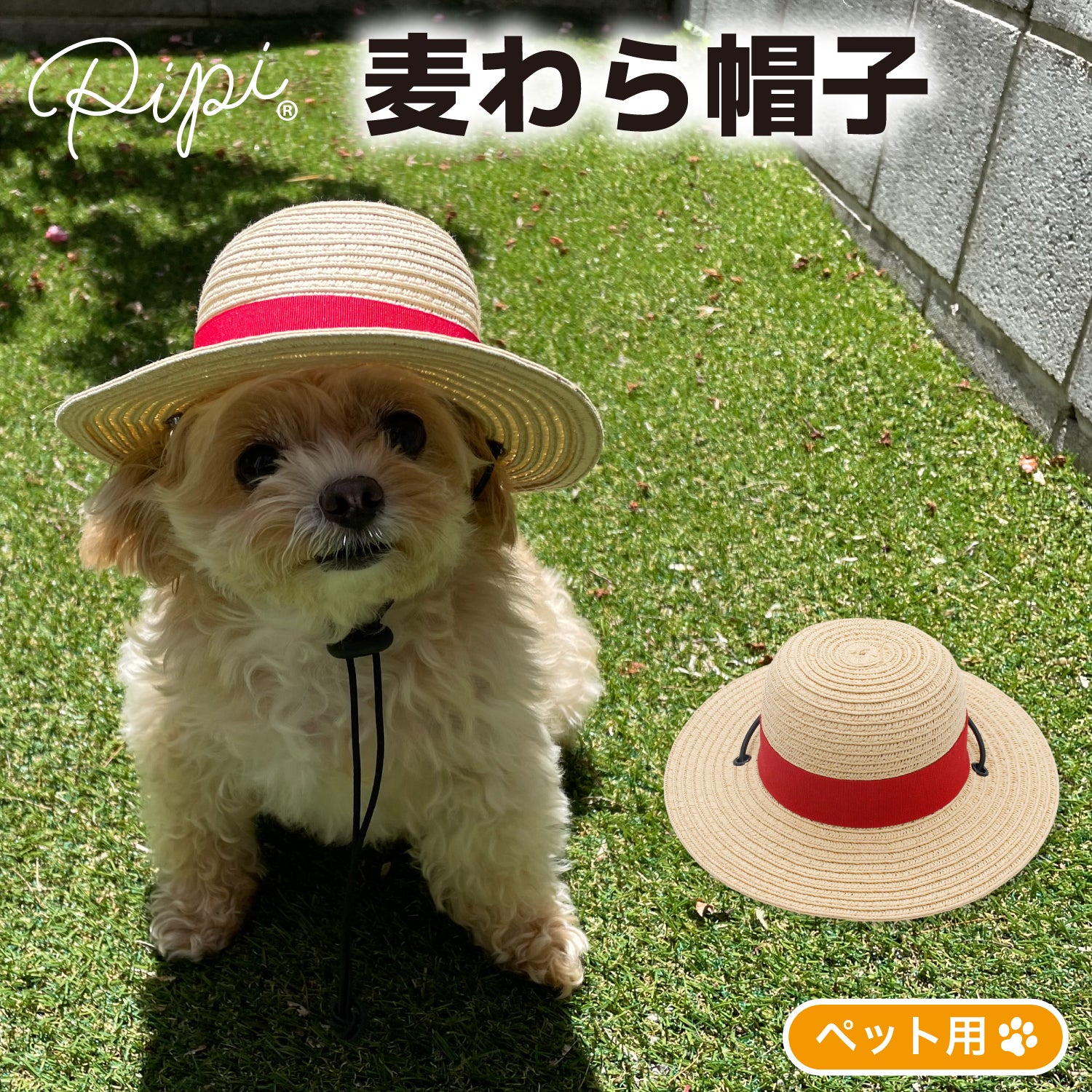 pipiのペット洋服・用品の通販 – PET LIFESTYLE MOFF