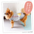 pipi手袋トレーナー ペット用品 ペットウェア 犬服