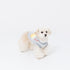 pipi手袋トレーナー ペット用品 ペットウェア 犬服