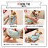 pipi恐竜ポンチョ ペット用品 ペットウェア 犬服