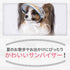 pipi レースフリル サンバイザー ペット用品