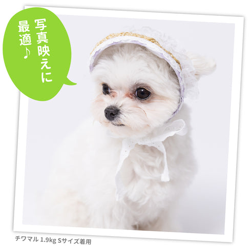 pipi レースフリル サンバイザー ペット用品