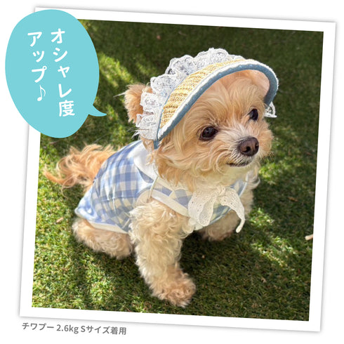 pipi レースフリル サンバイザー ペット用品