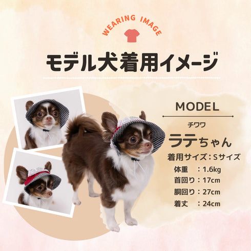 pipi ヒッコリーハット ペット用品 26SS