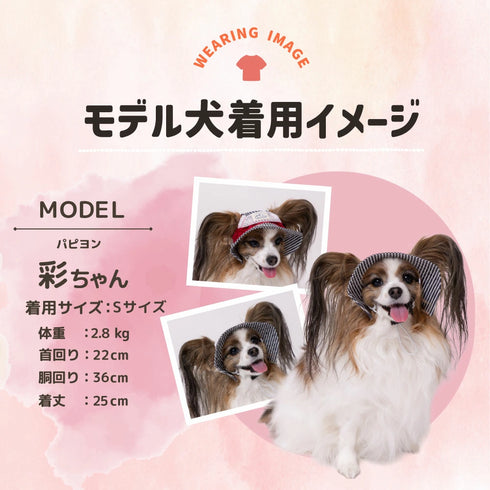 pipi ヒッコリーハット ペット用品 26SS