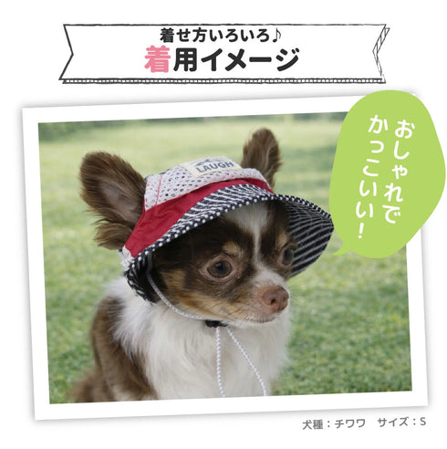 pipi ヒッコリーハット ペット用品 26SS