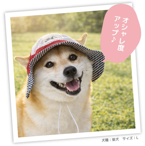 pipi ヒッコリーハット ペット用品 26SS