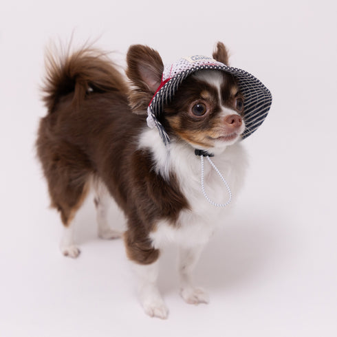 pipi ヒッコリーハット ペット用品 26SS
