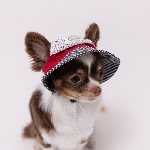 pipi ヒッコリーハット ペット用品 26SS