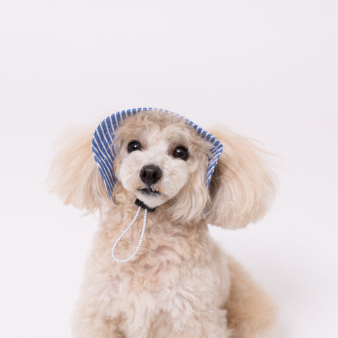 pipi ヒッコリーハット ペット用品 26SS