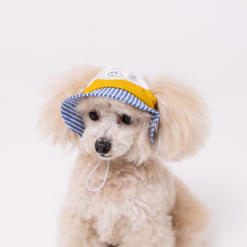 pipi ヒッコリーハット ペット用品 26SS