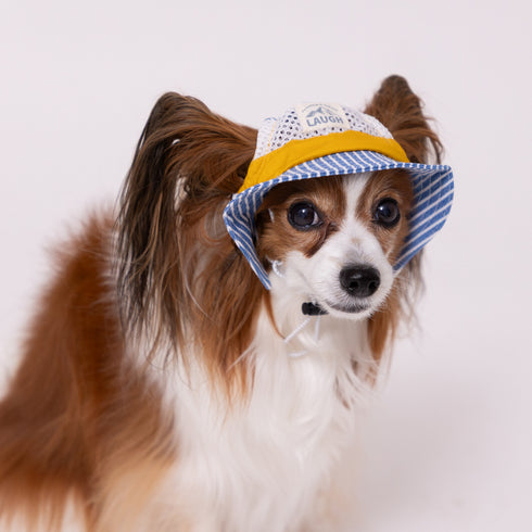 pipi ヒッコリーハット ペット用品 26SS