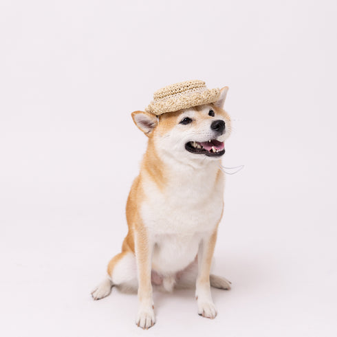 pipi ストローハット ペット用品 26SS