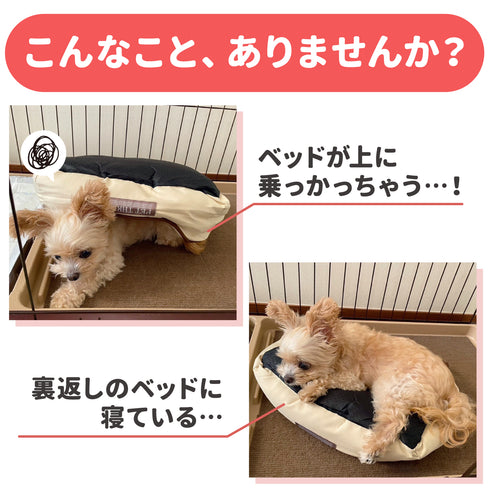 固定ができるペットベッド M ペット用品 ペットベッド