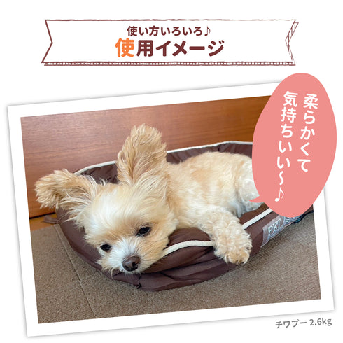 固定ができるペットベッド M ペット用品 ペットベッド