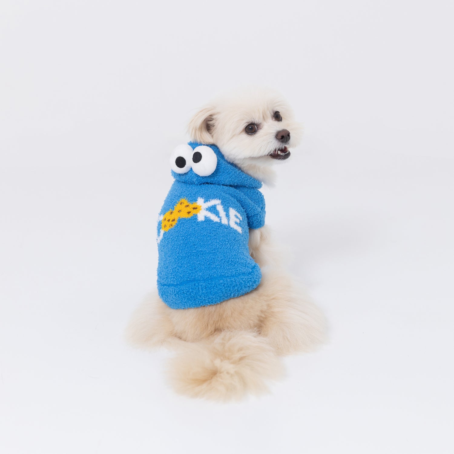 黒 綿 ニット犬服 約23cm 小型 【公式通販】