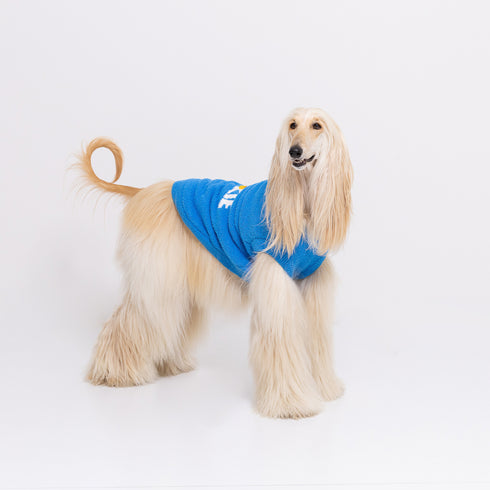 【SESAME STREET】セサミストリート なりきりニットウエア中・大型犬 ペット用品 エルモ クッキーモンスター ビッグバード