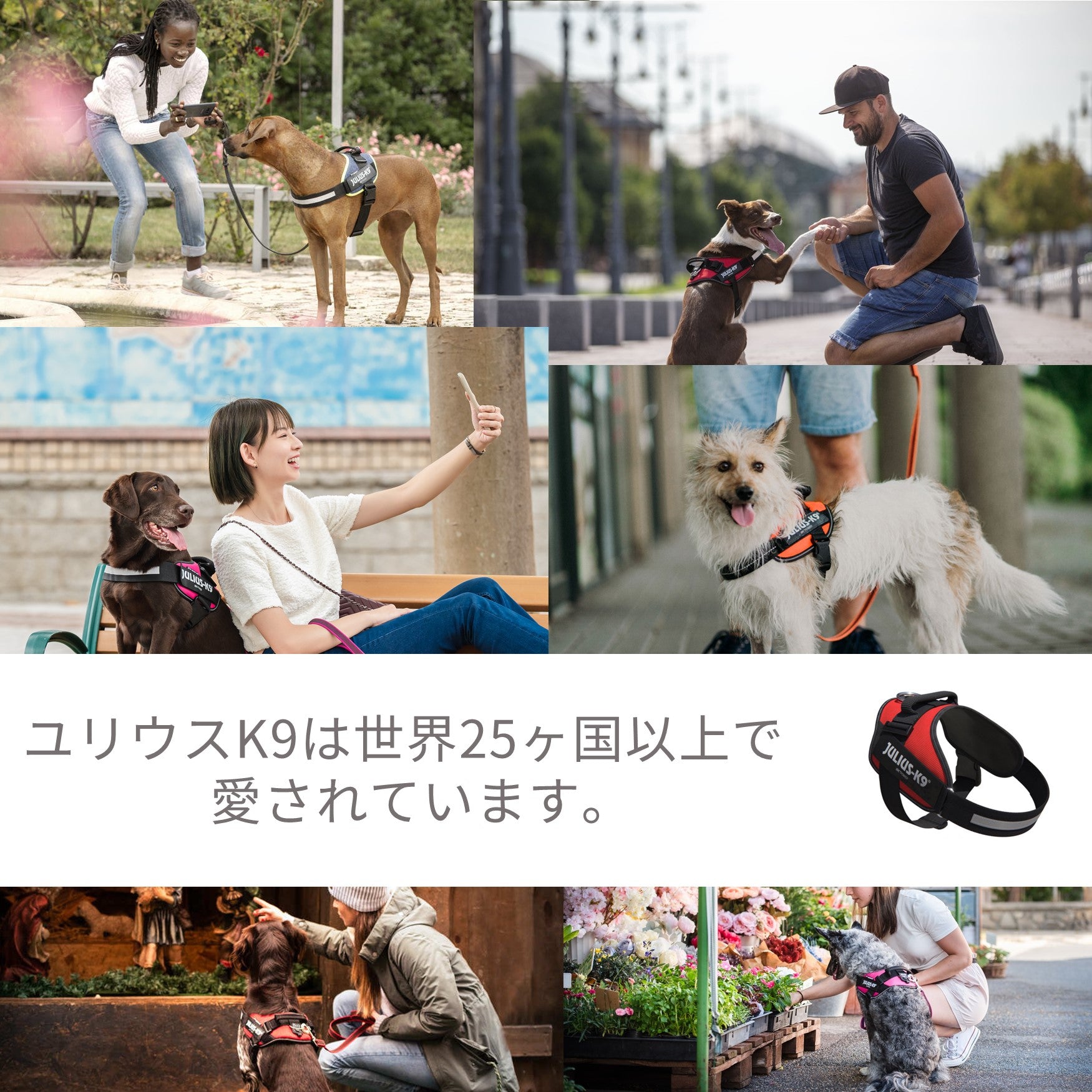 Julius-K9 ユリウスK9 スーパーグリップリード 犬具 お散歩