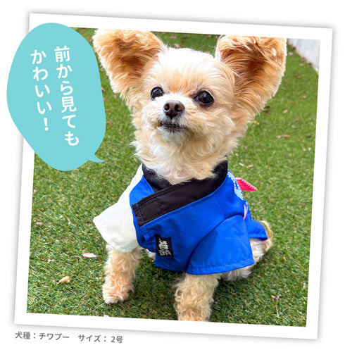 pipi お祭りはっぴ ペット用品 26SS