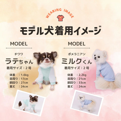 【PET THREE】防虫 Tシャツ ペット用品 26SS
