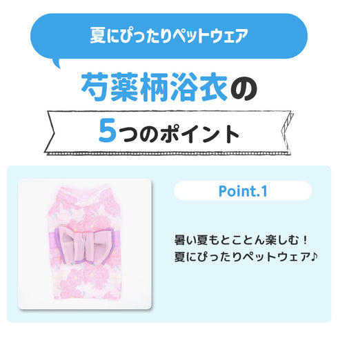 pipi 芍薬柄浴衣 ペット用品 26SS