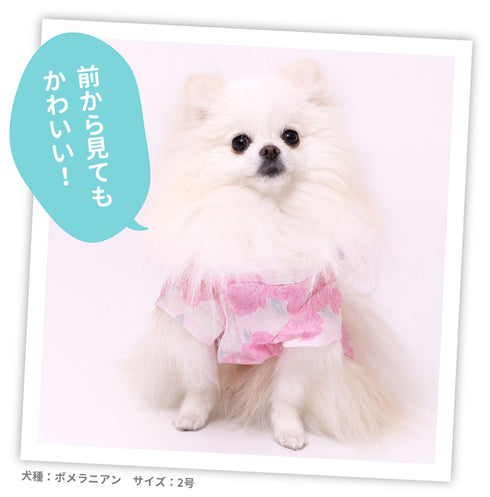 pipi 芍薬柄浴衣 ペット用品 26SS