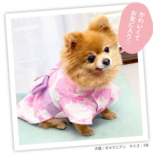 pipi 芍薬柄浴衣 ペット用品 26SS