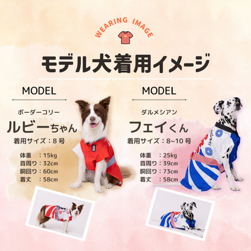 pipi お祭りはっぴ 中大型犬 ペット用品 26SS
