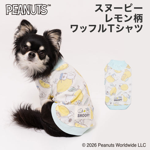 【PEANUTS】スヌーピー レモン柄ワッフルTシャツ 26AW