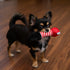 Disney ディズニーカラカラトイ ミッキー・くまのプーさん・サリー・マイク・ロッツォ カラカラ鳴るよ 犬のおもちゃ 猫のおもちゃ 鈴入り