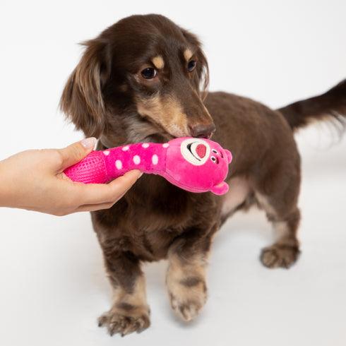 Disney ディズニーカラカラトイ ミッキー・くまのプーさん・サリー・マイク・ロッツォ カラカラ鳴るよ 犬のおもちゃ 猫のおもちゃ 鈴入り