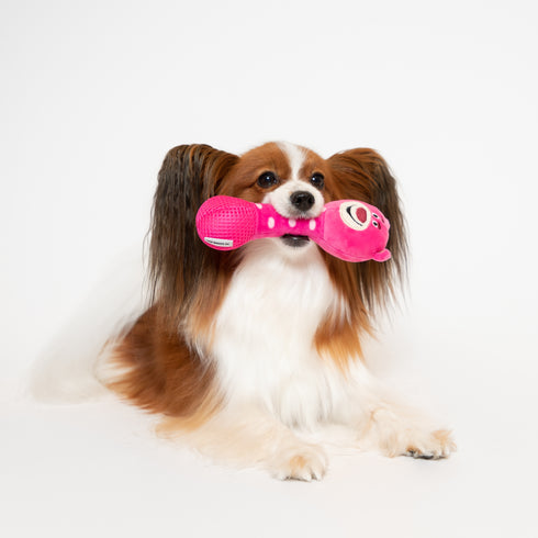 Disney ディズニーカラカラトイ ミッキー・くまのプーさん・サリー・マイク・ロッツォ カラカラ鳴るよ 犬のおもちゃ 猫のおもちゃ 鈴入り