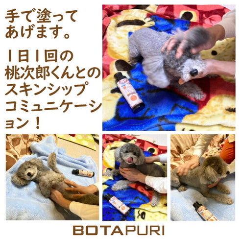 ボタピュリ(BOTAPURI) トイプードル専用 臭い取りローション