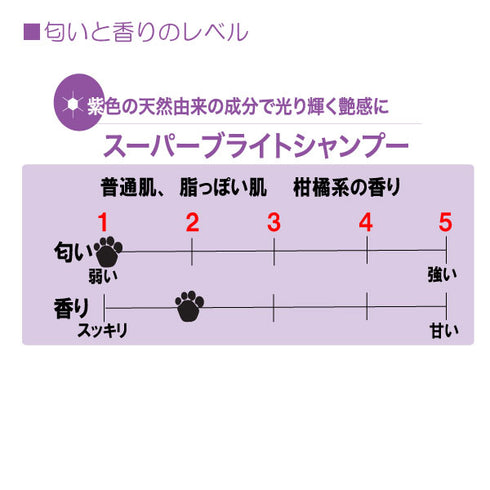スーパーブライトシャンプー 473ml