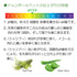 ティートリースプレー 236ml