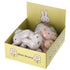 miffy ミッフィーメッシュトイ 18個セット BOX入り ハミガキ効果 ペット用のおもちゃ